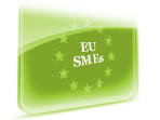 European SMEs and Social Businesses
